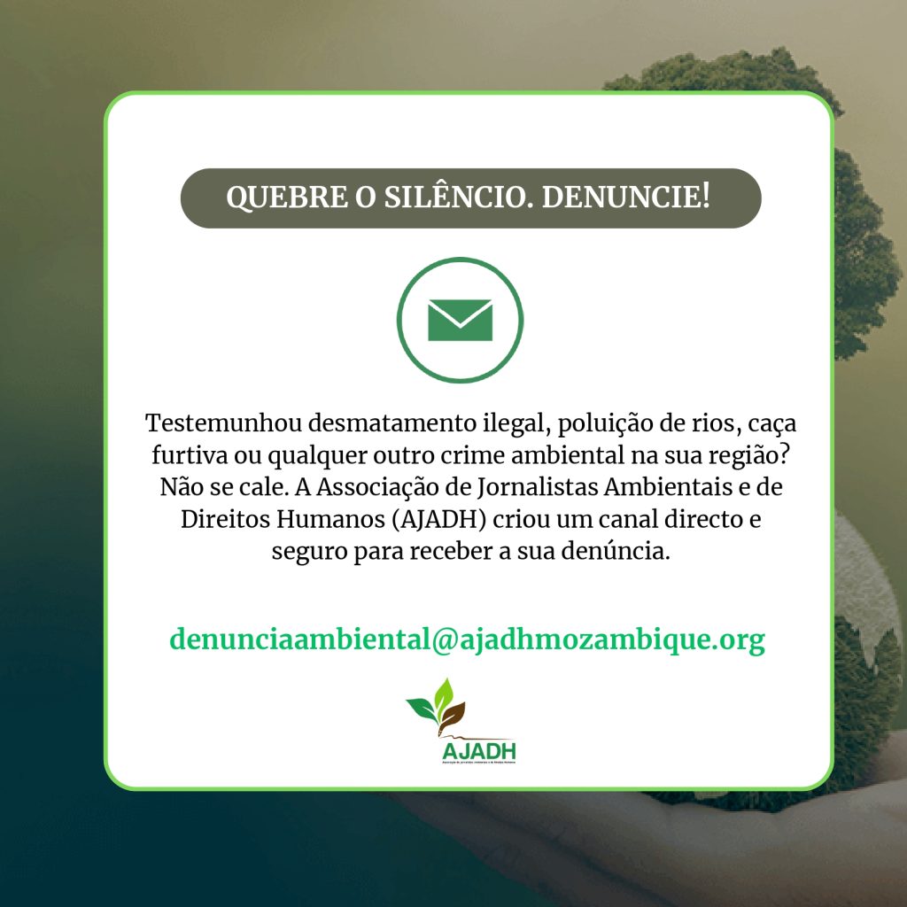 LINHA DE DENÚNCIAS DA AJADH